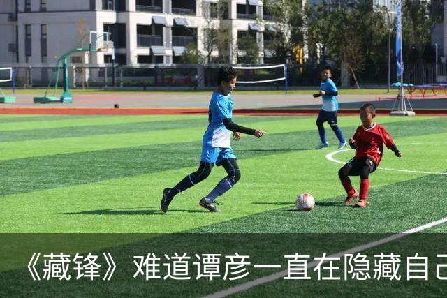 《藏锋》难道谭彦一直在隐藏自己，就是为了抓住郭局这个大老虎